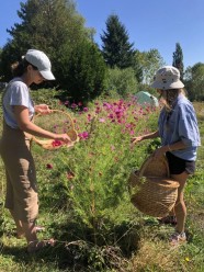 Visite : La Cabane aux Herbes