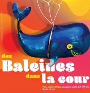 Des Baleines dans la cour