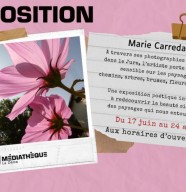 Marie Carreda