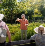 Balade historique et botanique