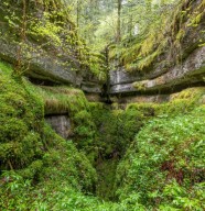 Balade Fankarstique au coeur du Bois de Billin