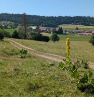 Rando ap�ro au cr�puscule