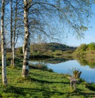 Yoga et m�ditation en plein air