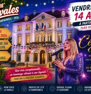 Tribute C�line Dion