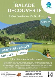 Balade d�couverte : entre for�t et tourbi�res