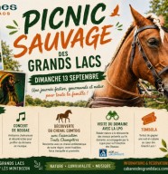 Picnic Sauvage des Grands Lacs