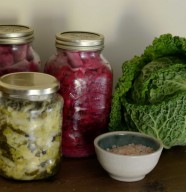 Atelier : Fascinantes fermentations