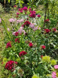 Week-end�Sorci�res