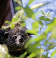 Rencontre avec l'association ABConservation