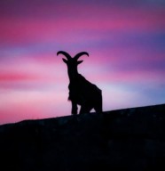 Visite nocturne de La Citadelle