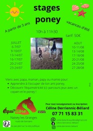 stages poneys et d�couverte de l'�quimotricit�