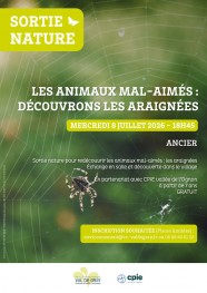 Sortie nature : Les animaux mal aim�s, d�couvrons les araign�es
