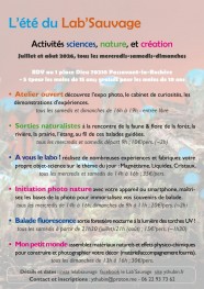 L'�t� du Lab'Sauvage