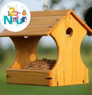 Atelier : Fabrique ta mangeoire � oiseaux