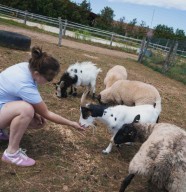 Mercredi � la ferme