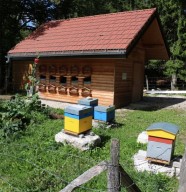 visite : Le Rucher du Bayard