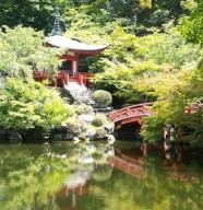 Stage de 1er degr� de Reiki Usui