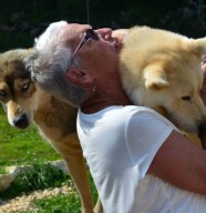 Visite de parc et immersion chiens de traineaux