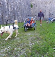 Cani rando et sulky familles