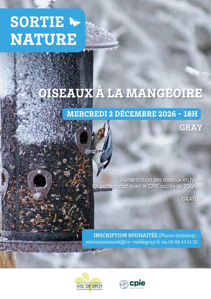 Sortie nature : oiseaux � la mangeoire