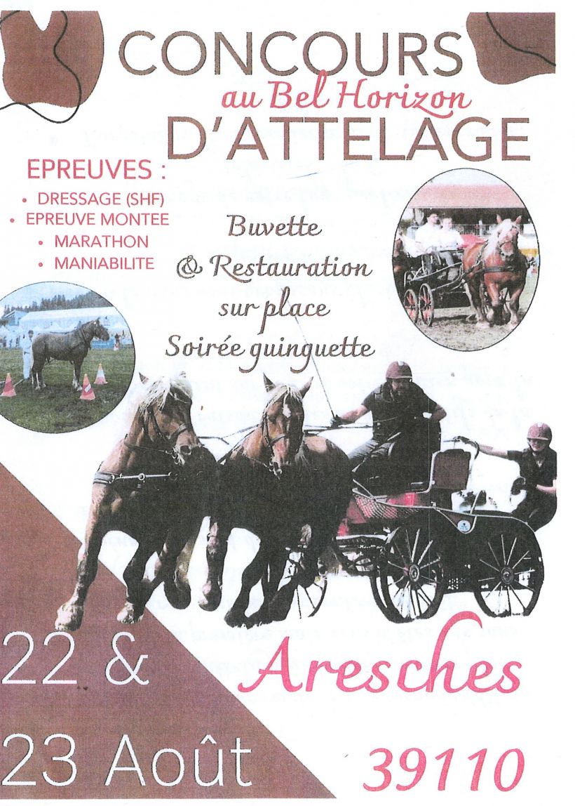 Concours d'attelage
