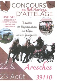 Concours d'attelage