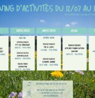 Tir � l'arc et grimpe d'arbre