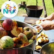 atelier cuisine anti-gaspi