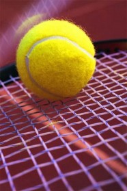 Tennis : Open du Lion