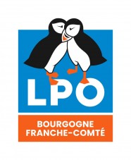 Observation et baguage sur une mangeoire