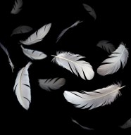 Atelier d'�criture : la fabrique des mots
