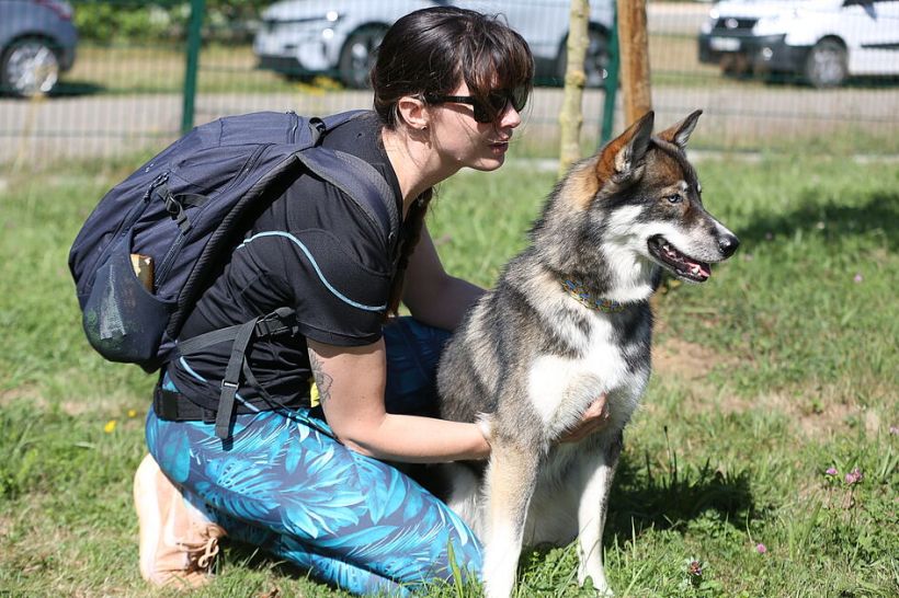 Atelier canin