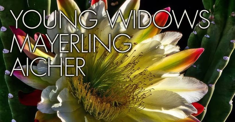Young Widows + Aicher + Mayerling