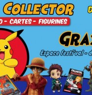 Salon du Geek Collector