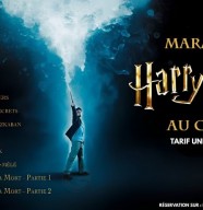 Harry Potter - Le marathon