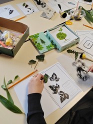 Atelier : Atelier herbier / Artiste botaniste
