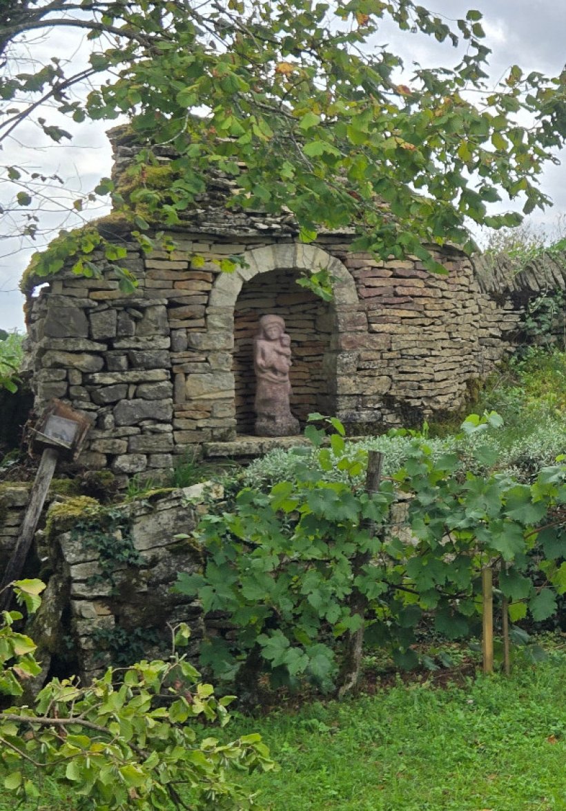 Visite-d�gustation autour de la vigne