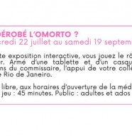 Qui a d�rob� l'Ormoto ?