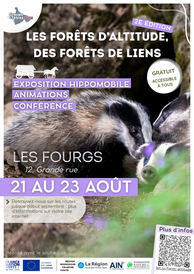 Les for�ts d'altitude, des for�ts de liens