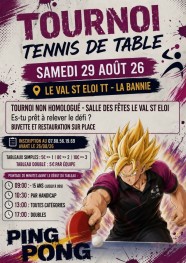 Tournoi de tennis de table