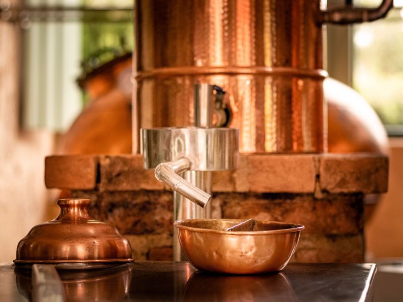 Les secrets de l'absinthe : histoire et d�gustation