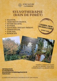 sylvothérapie Bain de Forêt