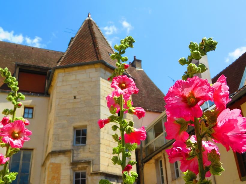 Visite de l'H�tel de Conflans