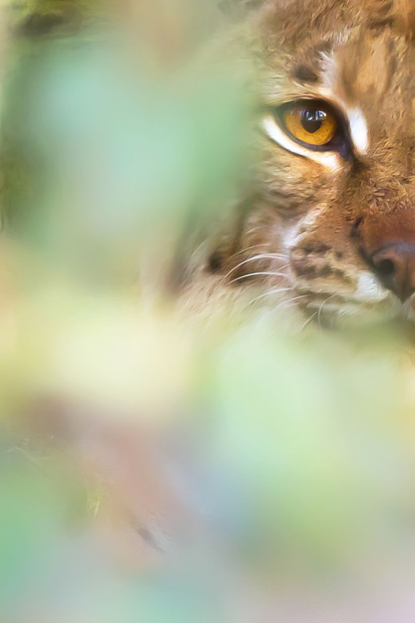 Bicentenaire de la photographie