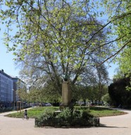 Visite : De squares en jardins