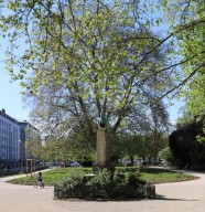 Visite : De squares en jardins
