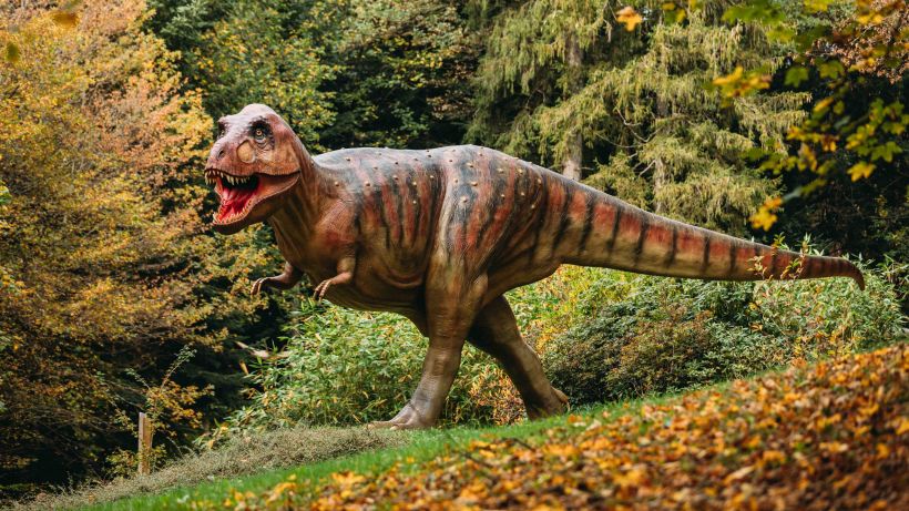 Halloween au Dino-Zoo