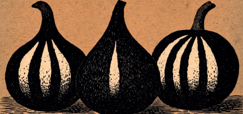 Atelier bricolage : carnet de recettes d'automne