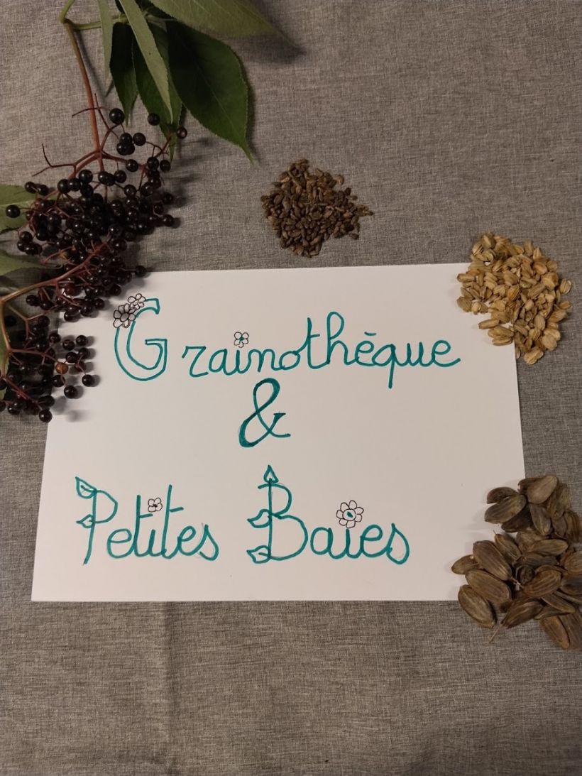 Grainoth�que & petites baies