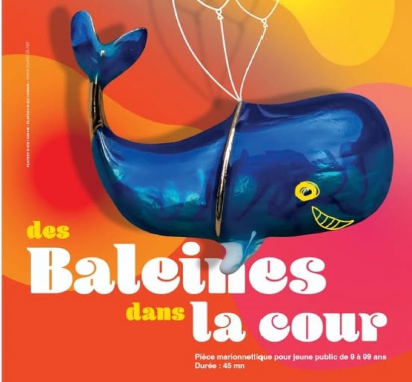 Des baleines dans la cour